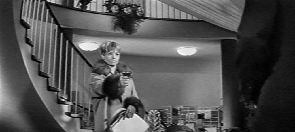 The Story of a Murder