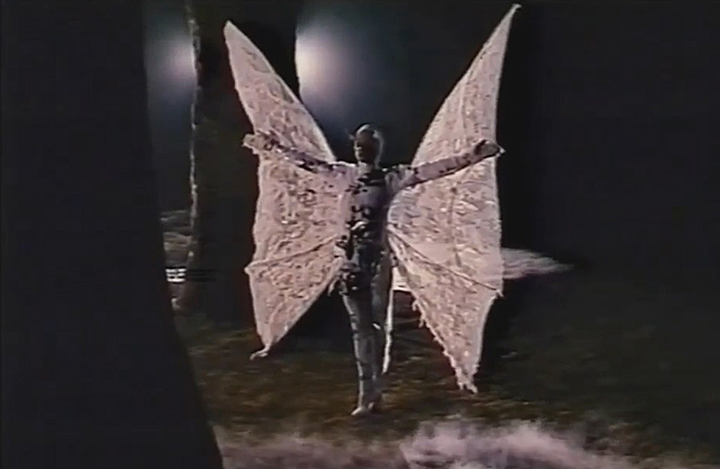 Novalis The Blue Flower